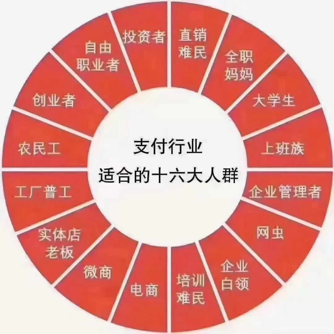 拉卡拉2.0创业项目，移动数字支付的黄金十年！(图20)